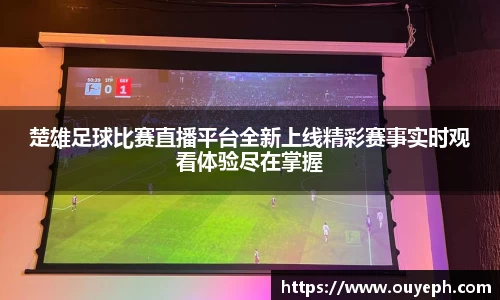 楚雄足球比赛直播平台全新上线精彩赛事实时观看体验尽在掌握