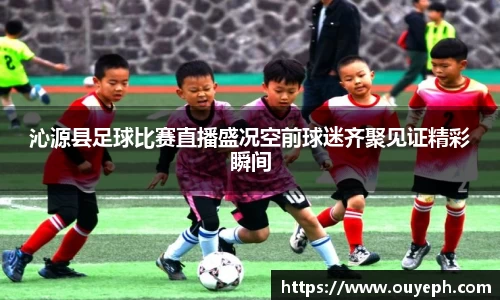 qy球友会体育