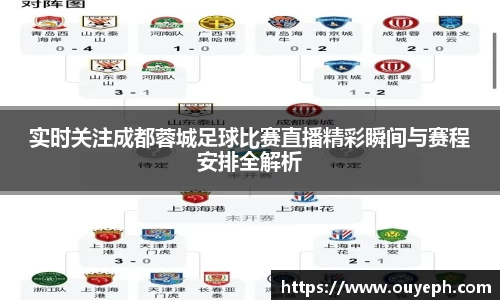 实时关注成都蓉城足球比赛直播精彩瞬间与赛程安排全解析